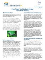 Phun Thuốc Trừ Sâu Bướm Gypsy - Gypsy Moth Spraying