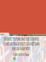 TỔ CHỨC THƯƠNG MẠI THẾ GIỚI WTO CƠ HỘI VÀ THÁCH THỨC CỦA VIỆT NAM KHI GIA NHẬP WTO