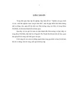 Nghiên cứu quy trình và sản xuất thử nghiệm rượu vang từ dưa hấu