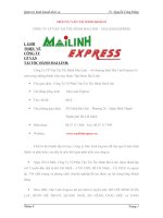 Tiểu luận phân tích chiến lược vận tải mai linh