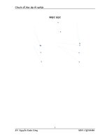 Hoàn thiện hệ thống kênh phân phối tại công ty cổ phần thương mại và dịch vụ Trường Hải