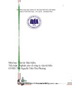 Tiểu luận môn vận tải bảo hiểm Tìm hiểu Công ty cổ phần vận tải biển Sài Gòn