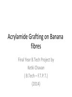 Acrylamide Grafting on Banana Fibres for Increased Water Absorbency and Retention