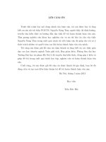 Bất đẳng thức biến phân minimax và ứng dụng