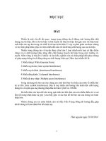 báo cáo nhiễu liên ký tự ISI ( Inter symbol Interference)