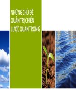 Những chủ đề quản trị chiến lược quan trọng