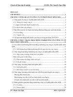 Hoàn thiện chính sách Marketing tại công ty Cổ phần phần mềm OOS