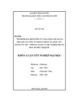 Tình hình mắc bệnh viêm tử cung ở đàn lợn nái tại trại lợn của công ty DABACO xã Ngọc Vân - huyện Tân Yên - tỉnh Bắc Giang và thử nghiệm một số phác đồ điều trị.