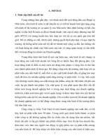 Hệ thống kiểm soát nội bộ tại Tổng công ty Giấy Việt Nam