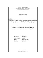 Xác định tỷ lệ nhiễm vi khuẩn Salmonella spp trong thịt lợn tươi bán tại một số chợ của Thái Nguyên và Tuyên Quang.