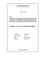 Nghiên cứu hội chứng bệnh đường hô hấp trên đàn lợn rừng từ sơ sinh đến 8 tháng tuổi nuôi tại Chi nhánh công ty nghiên cứu và phát triển động thực vật bản địa và khảo nghiệm một số phác đồ điều trị.