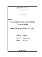 Tình hình bệnh giun đũa ở lợn con tại trại lợn xã Cổ Lũng, huyện Phú Lương, tỉnh Thái Nguyên và biện pháp điều trị.