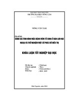 Đánh giá tình hình mắc bệnh viêm tử cung ở đàn lợn nái ngoại và thử nghiệm một số phác đồ điều trị.