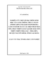 Nghiên cứu một số đặc điểm sinh học của loài Thông Tre lá ngắn (Podocarpus pilgeri Foxworthy) tại Khu bảo tồn thiên nhiên Phia Oắc - Phia Đén, huyện Nguyên Bình, tỉnh Cao Bằng.