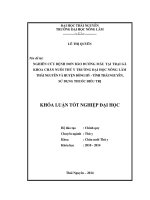 Nghiên cứu bệnh đơn bào đường máu tại trại gà Khoa Chăn nuôi Thú y Trường Đại học Nông Lâm và huyện Đồng Hỷ - tỉnh Thái Nguyên, sử dụng thuốc điều trị
