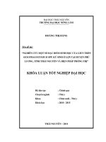 Nghiên cứu một số đặc điểm sinh học của giun tròn Oesophagostomum spp. ký sinh ở lợn tại huyện Phú Lương, tỉnh Thái Nguyên và biện pháp phòng trị.