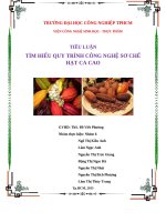 Tiểu luận tìm hiểu quy trình công nghệ sơ chế hạt ca cao