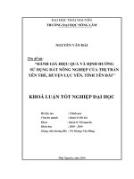 Đánh giá hiệu quả và định hướng sử dụng đất nông nghiệp của thị trấn Yên Thế - huyện Lục Yên - tỉnh Yên Bái.