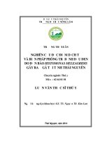Nghiên cứu đặc điểm dịch tễ và biện pháp phòng trị bệnh đầu đen do đơn bào Histomonas Meleagridis gây ra ở gà tại tỉnh Thái Nguyên