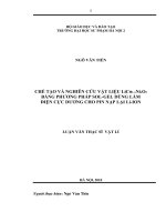 Chế tạo và nghiên cứu vật liệu LiCo1-xNIxO2 bằng phương pháp Sol-gel dùng làm điện cực dương cho pin nạp lại Li-Ion