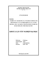 Nghiên cứu ảnh hưởng của Vitamin B-complex tới sinh trưởng và tỷ lệ nhiễm bệnh của gà (Lương Phượng x Mía) tại trại gà thương phẩm, xã Khe Mo, huyện Đồng Hỷ, tỉnh Thái Nguyên.