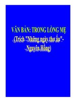 Bài giảng trong lòng mẹ ngữ văn 8