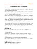 Thủ tục thành lập trường tiểu học dân lập