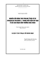 Nghiên cứu động thái Proline ở đậu côve (phaseolus vulgaris L.) trong điều kiện gây hạn ở các giai đoạn sinh trưởng khác nhau (LV00273)
