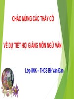 Bài giảng điện tử bài đập đá ở côn lôn