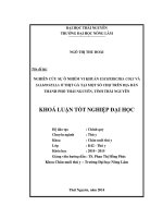 Nghiên cứu s ự ô nhiễm vi khuẩn Escherichia coli và Salmonella ở thịt gà tại một số ch ợ trên địa bàn thành phố Thái Nguyên, tỉnh Thái Nguyên.