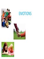 Emotions - What Are Emotions