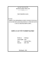 Nghiên cứu đặc điểm bệnh do ấu trùng Cysticercus tenuicollis gây ra ở dê nuôi tại một số địa phương của tỉnh Thái Nguyên và đề xuất biện pháp phòng chống.