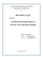 Lý thuyết trật tự phân hạng và cấu trúc vốn