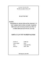 Tình hình mắc bệnh viêm đường sinh dục và thử nghiệm một số phác đồ điều trị bệnh trên đàn lợn nái ngoại nuôi tại công ty CP Bình Minh, huyện Mỹ Đức, Hà Nội.