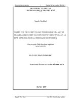 Nghiên cứu tách chiết và đặc tính sinh học của một số phân đoạn dịch chiết các hợp chất tự nhiên từ hoa và lá bưởi (Citrus grandis (L.) osbeck), họ (Rutacecea) (LV00290)