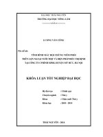 Tình hình mắc hội chứng viêm phổi trên lợn ngoại nuôi thịt và biện pháp điều trị bệnh tại Công ty CP Bình Minh , huyện Mỹ Đức, Hà Nội.