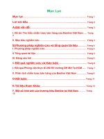 Tiểu luận phân tích chiến lược bán hàng của beeline việt nam