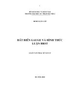 bất biến GAUGE và hình thức luật BRSTE