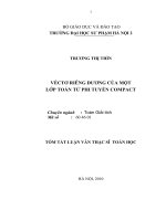 Véctơ riêng dương của một lớp toán tử phi tuyến Compact
