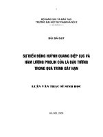 Sự biến động huỳnh quang diệp lục và hàm lượng Prolin của lá đậu tương trong quá trình gây hạn