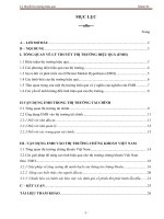 Tiểu luận môn tài chính tiền tệ Lý thuyết thị trường hiệu quả