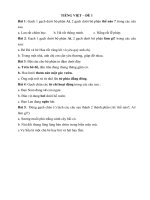 Bộ đề ôn hè môn Toán, Tiếng Việt lớp 2