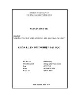 Nghiên cứu công nghệ sơ chế và bảo quản rau cải ngọt