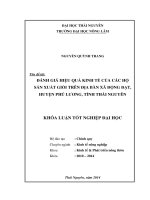 Đánh giá hiệu quả kinh tế của các hộ sản xuất giỏi trên địa bàn xã Động Đạt - Huyện Phú Lương - Tỉnh Thái Nguyên.