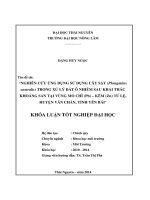 Nghiên cứu ứng dụng sử dụng cây sậy (Phragmites australis) trong xử lý đất ô nhiễm sau khai thác khoáng sản tại vùng mỏ chì (Pb) – kẽm (Zn) Tú Lệ, huyện Văn Chấn, tỉnh Yên Bái.