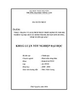 Thực trạng và giải pháp phát triển kinh tế cho hộ nghèo tại địa bàn xã Minh Thanh, huyện Sơn Dương, tỉnh Tuyên Quang.