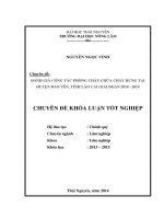 Đánh giá công tác phòng cháy chữa cháy rừng tại huyện Bảo Yên – tỉnh Lào Cai giai đoạn 2010 2014.