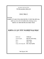 Nghiên cứu khả năng sinh trưởng và hấp thụ kẽm (Zn) và asen (As) của cây Cỏ linh lăng (Medicago sativa) trong các môi trường đất khác nhau.