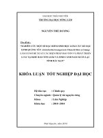 Nghiên cứu một số đặc điểm sinh học loài cây Mã Đậu Linh Quảng Tây (Aristolochia kwangsiensis Chun & How ex Liang) làm cơ sở đề xuất các biện pháp bảo tồn và phát triển loài tại Khu bảo tồn loài và sinh cảnh Nam Xuân
