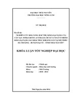 Nghiên cứu khả năng hấp thụ kim loại nặng của cây sậy (Phragmites australis) để xử lý đất ô nhiễm kim loại nặng sau khai thác khoáng sản tại mỏ thiếc Hà Thượng - huyện Đại Từ - tỉnh Thái Nguyên.